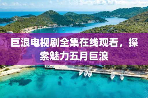 巨浪电视剧全集在线观看，探索魅力五月巨浪