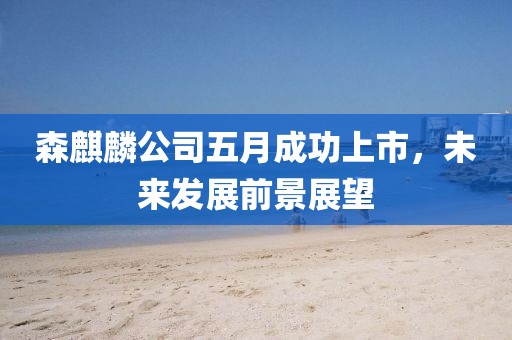 森麒麟公司五月成功上市，未来发展前景展望