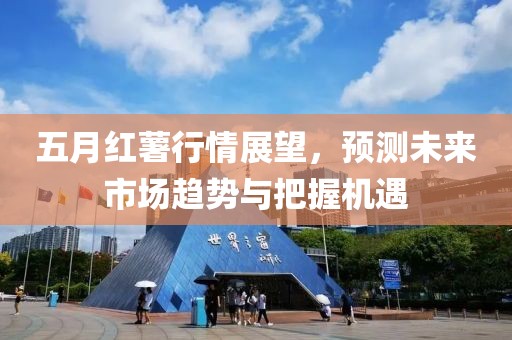 五月红薯行情展望，预测未来市场趋势与把握机遇