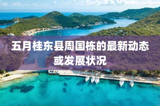 五月桂东县周国栋的最新动态或发展状况