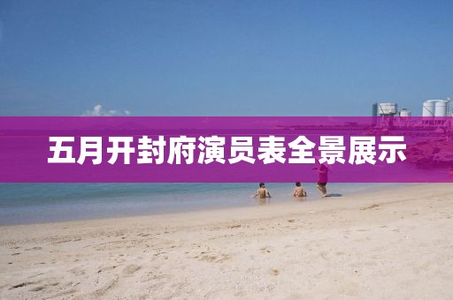 五月开封府演员表全景展示