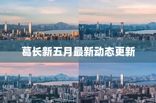葛长新五月最新动态更新