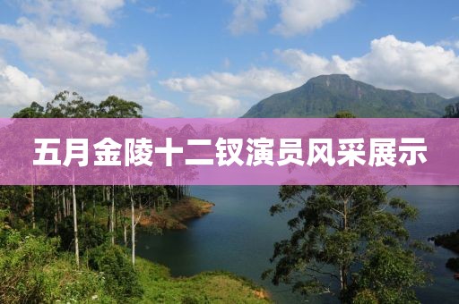五月金陵十二钗演员风采展示