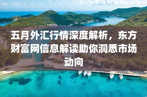 五月外汇行情深度解析，东方财富网信息解读助你洞悉市场动向