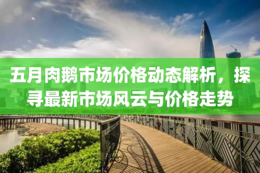 五月肉鹅市场价格动态解析，探寻最新市场风云与价格走势
