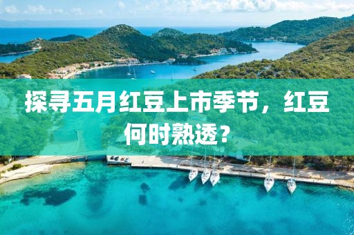 探寻五月红豆上市季节，红豆何时熟透？