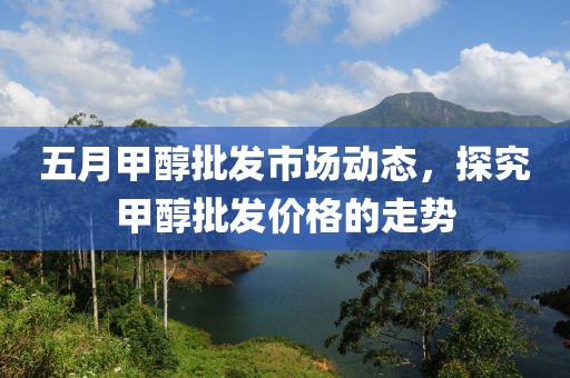 五月甲醇批发市场动态，探究甲醇批发价格的走势