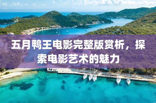 五月鸭王电影完整版赏析，探索电影艺术的魅力