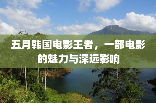 五月韩国电影王者，一部电影的魅力与深远影响