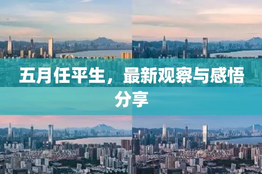 五月任平生，最新观察与感悟分享