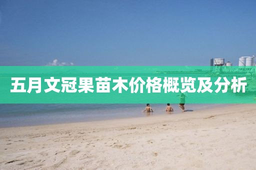 五月文冠果苗木价格概览及分析