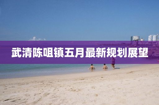 武清陈咀镇五月最新规划展望