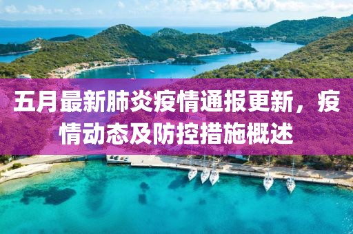 五月最新肺炎疫情通报更新，疫情动态及防控措施概述