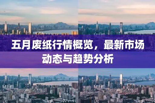 五月废纸行情概览，最新市场动态与趋势分析