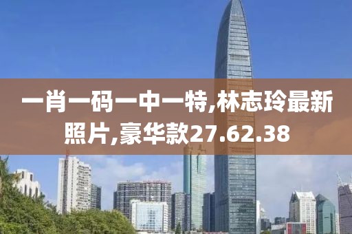 一肖一码一中一特,林志玲最新照片,豪华款27.62.38
