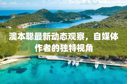 澳本聪最新动态观察，自媒体作者的独特视角
