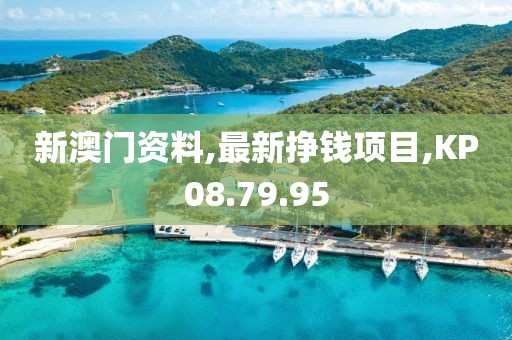 新澳门资料,最新挣钱项目,KP08.79.95