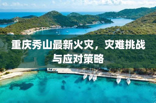 重庆秀山最新火灾，灾难挑战与应对策略
