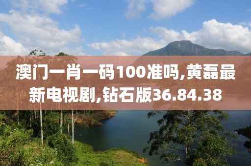 澳门一肖一码100准吗,黄磊最新电视剧,钻石版36.84.38