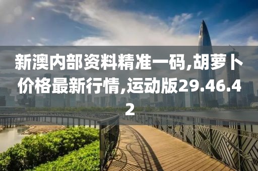 新澳内部资料精准一码,胡萝卜价格最新行情,运动版29.46.42