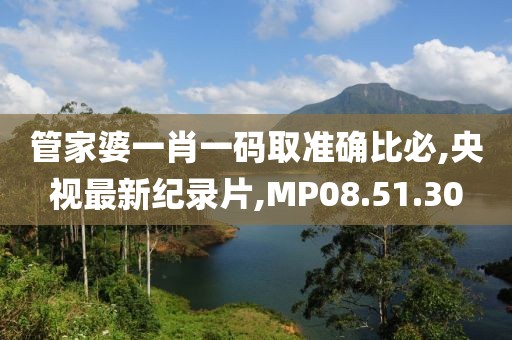 管家婆一肖一码取准确比必,央视最新纪录片,MP08.51.30