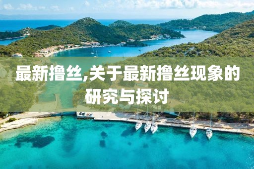 最新撸丝,关于最新撸丝现象的研究与探讨