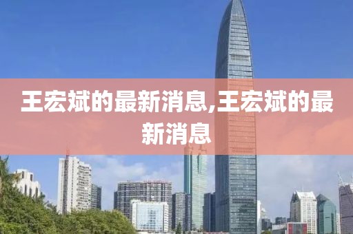 王宏斌的最新消息,王宏斌的最新消息