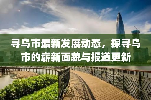 寻乌市最新发展动态，探寻乌市的崭新面貌与报道更新
