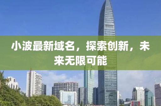 小波最新域名，探索创新，未来无限可能