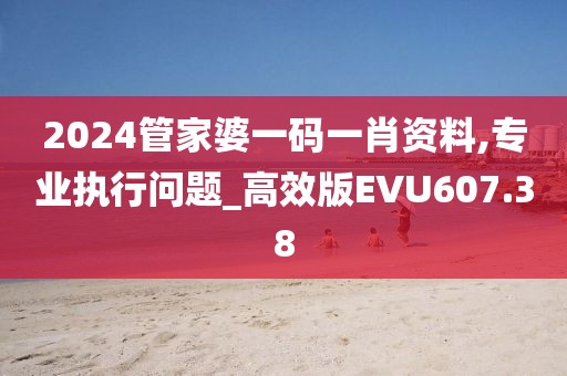 2024管家婆一码一肖资料,专业执行问题_高效版EVU607.38