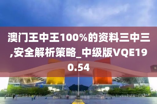 澳门王中王100%的资料三中三,安全解析策略_中级版VQE190.54
