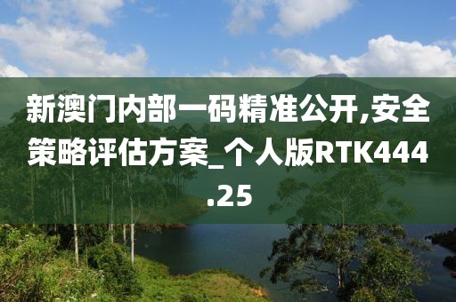 新澳门内部一码精准公开,安全策略评估方案_个人版RTK444.25