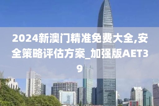2024新澳门精准免费大全,安全策略评估方案_加强版AET39