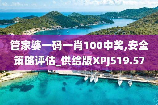 管家婆一码一肖100中奖,安全策略评估_供给版XPJ519.57
