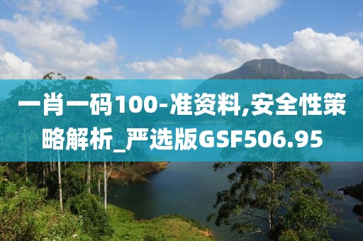 一肖一码100-准资料,安全性策略解析_严选版GSF506.95