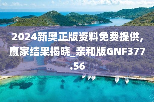 2024新奥正版资料免费提供,赢家结果揭晓_亲和版GNF377.56