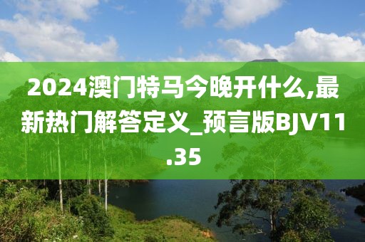 2024澳门特马今晚开什么,最新热门解答定义_预言版BJV11.35