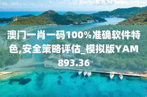 澳门一肖一码100%准确软件特色,安全策略评估_模拟版YAM893.36