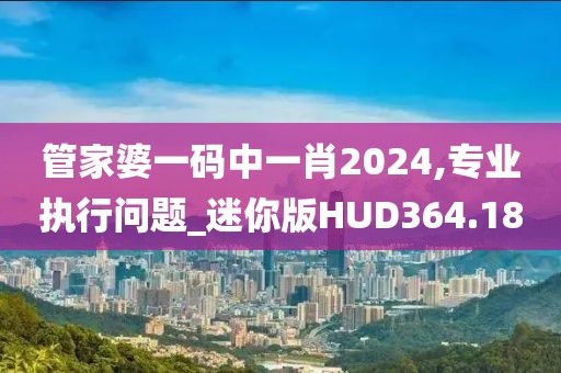 管家婆一码中一肖2024,专业执行问题_迷你版HUD364.18