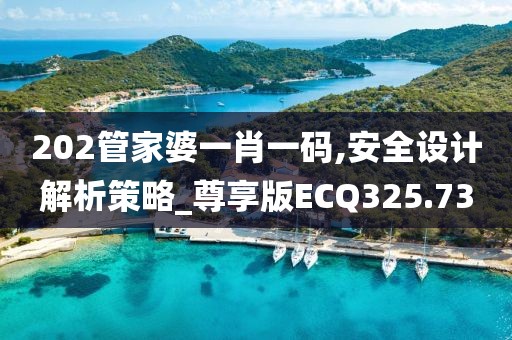 202管家婆一肖一码,安全设计解析策略_尊享版ECQ325.73