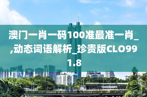 澳门一肖一码100准最准一肖_,动态词语解析_珍贵版CLO991.8