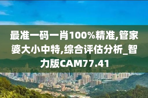 最准一码一肖100%精准,管家婆大小中特,综合评估分析_智力版CAM77.41