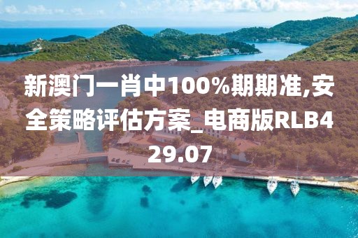 新澳门一肖中100%期期准,安全策略评估方案_电商版RLB429.07