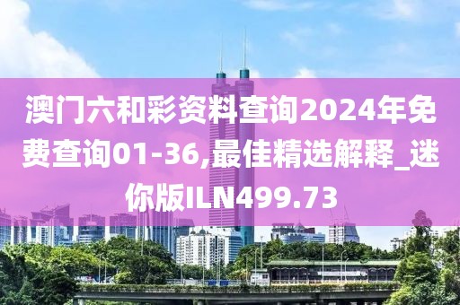 澳门六和彩资料查询2024年免费查询01-36,最佳精选解释_迷你版ILN499.73