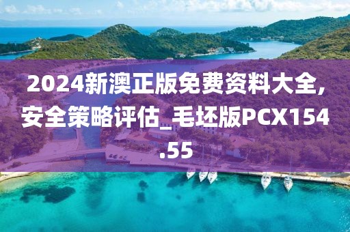 2024新澳正版免费资料大全,安全策略评估_毛坯版PCX154.55