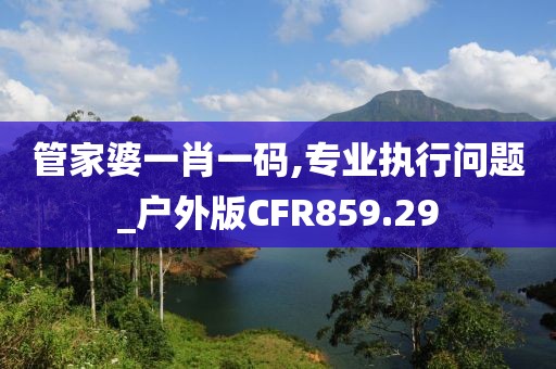 管家婆一肖一码,专业执行问题_户外版CFR859.29