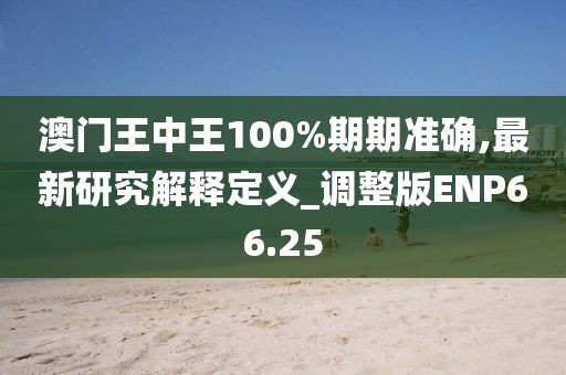 澳门王中王100%期期准确,最新研究解释定义_调整版ENP66.25