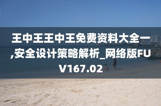王中王王中王免费资料大全一,安全设计策略解析_网络版FUV167.02