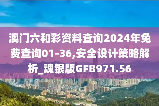 澳门六和彩资料查询2024年免费查询01-36,安全设计策略解析_魂银版GFB971.56