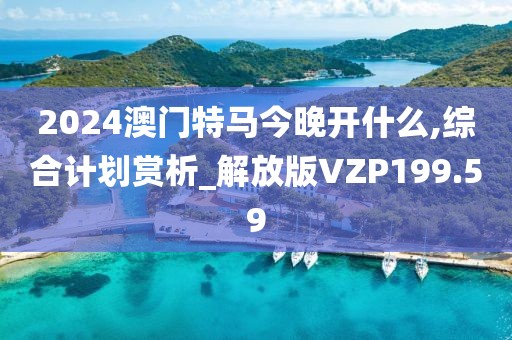 2024澳门特马今晚开什么,综合计划赏析_解放版VZP199.59